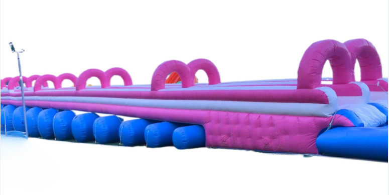 Divertido colorido tobogán acuático comercial personalizado gran hipopótamo tobogán de agua inflable con piscina en venta